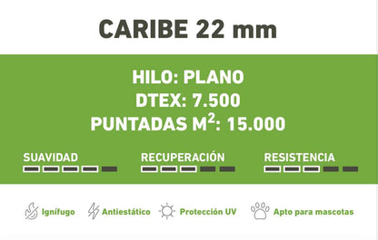 CARIBE 22mm