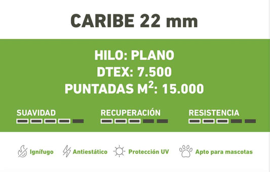 CARIBE 22mm