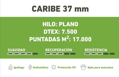 CARIBE 37mm